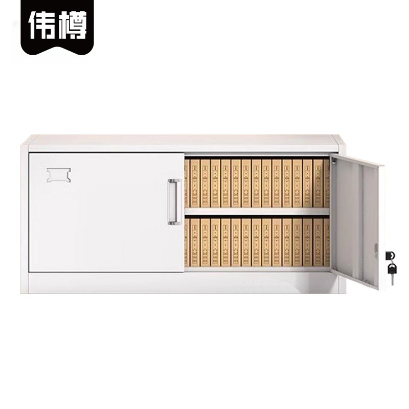 伟樽铁皮文件柜白色单节加隔板850*360*390mm台