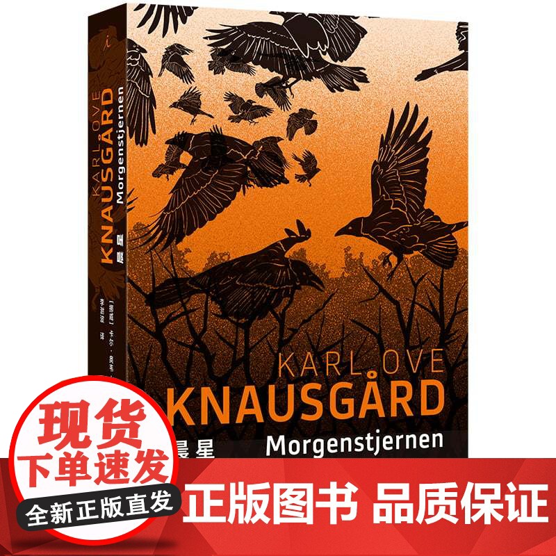 晨星 纽约时报年度关注图书 一个世界末日的隐喻 一部充满神秘色彩的文学寓言 克瑙斯高 北欧文学 悬疑神秘 理想国图书店