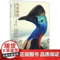 正版 鸟类图谱 大师笔下的飞羽世界 鸟类图鉴科普书籍 世界鸟类学艺术藏品经典名作 鸟类世界的艺术诠释大师鸟类画作赏析