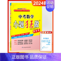 24版-小题狂做[中考数学] 初中通用 [正版]2025新版恩波38套江苏省中考13十三大市中考试卷与标准模拟卷优化语文