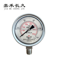 嘉禾长久 不锈钢耐震压力表 YN100BF 0-250Mpa 个