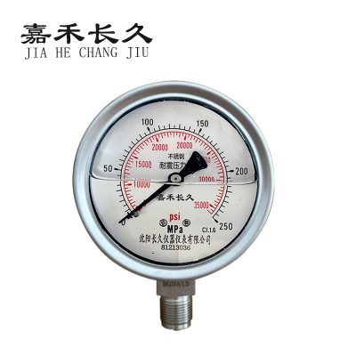 嘉禾长久 不锈钢耐震压力表 YN100BF 0-250Mpa 个