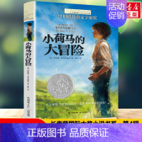 [长青藤国际大奖]小荷马的大冒险 [正版]禹田长青藤国际大奖小说下课去埃及小学生四五六年级课外书必读老师阅读外国经典儿童