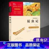 昆虫记三年级必读 [正版]中国古代寓言故事三年级下册必读的课外书伊索寓言克雷洛夫寓言拉封丹寓言昆虫记小学生3年级快乐读书