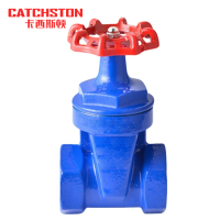 卡西斯顿 铸铁丝扣闸阀 DN50 个