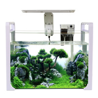 小型迷你鱼缸水族箱 手提生态办公室桌面玻璃热带金鱼缸乌龟缸