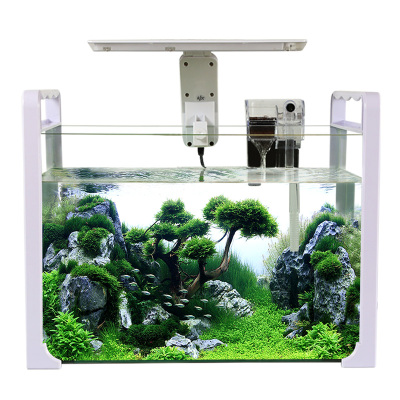 小型迷你鱼缸水族箱 手提生态办公室桌面玻璃热带金鱼缸乌龟缸