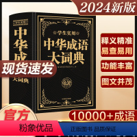 [正版]2024新版成语大词典大成语词典字典大全带解释初中生高中生小学生中国成语积累大全训练小学生成语词典现代汉语