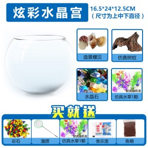 鱼缸生态圆形玻璃金鱼缸乌龟缸桌面小型造景水培花瓶圆型小鱼缸