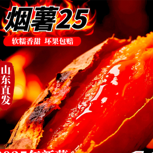 山东烟薯25号蜜薯糖心流油红薯烤红薯专用 中果 3-8两/ 5斤装