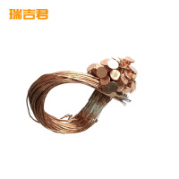 瑞吉君 纽扣熔丝 20A 根