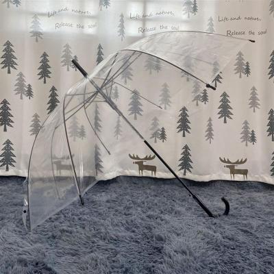 透明雨伞磨砂雨伞晴雨两用雨伞长柄雨伞网红学生女小清新雨伞