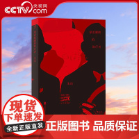 [央视网]蒙着眼睛的旅行者 脑洞大开 文字游戏 虚构的乐趣 你只能经历这些小说 而别想理解它们 北京联合出版公司 HL