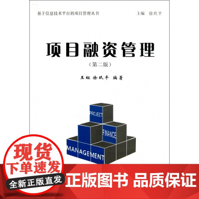项目融资管理(第2版)/基于信息技术平台的项目管理丛书