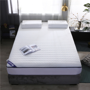 婵思 针织布加厚双面床垫6CM