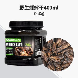 龟粮虾干淡水无盐鱼干虾皮龟粮乌龟饲料巴西龟甲鱼面包虫干