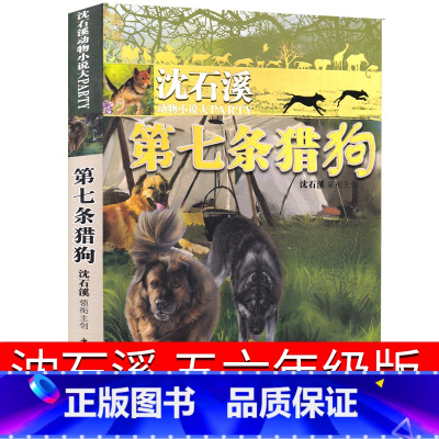[正版]第七条猎狗 沈石溪六年级五年级四年级升级版小学生动物小说沈石溪的书全系列单本经典大王儿童文学课外书第7条猎犬