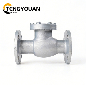 腾友安铸钢止回阀DN150/个