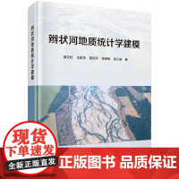 [按需印刷]辫状河地质统计学建模