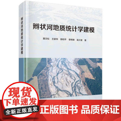 [按需印刷]辫状河地质统计学建模