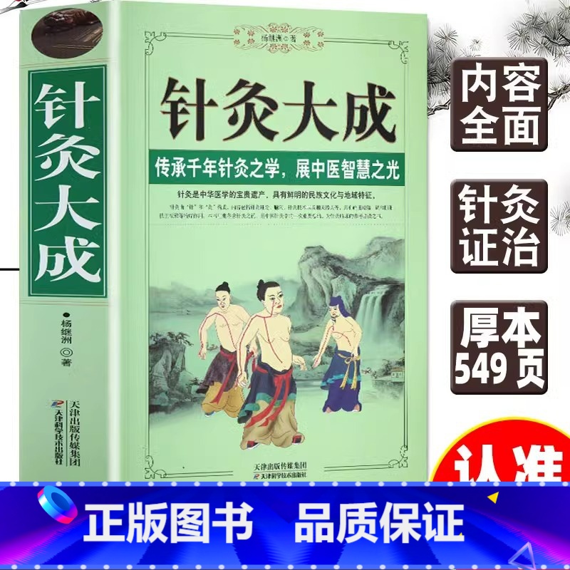 针灸大成 [正版] 针灸大成 原文集注白话解完整版杨继洲艾灸中医针灸基础理论临床医学大全针灸学全集内经甲乙经校释灸绳董氏