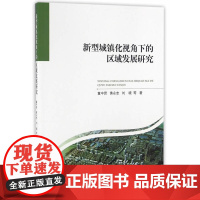 新型城镇化视角下的区域发展研究