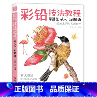 [正版]彩铅技法教程从 入门到精通初学者零基础学画画中国美院名师教学花鸟动物植物风景人物绘画手绘教学画画自学美学大师