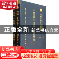 正版 丰都镇江汉至六朝墓群 白九江主编 科学出版社 978703039084