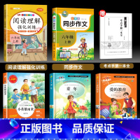 快乐读书吧+同步作文+阅读理解[5册价格更值] [正版]六年级上册快乐读书吧 童年爱的教育小英雄雨来