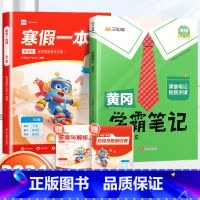 寒假一本通[人教版]+学霸笔记语文下册 小学四年级 [正版]乐读寒假一本通预复习小学一年级二年级寒假衔接作业三四五六年级