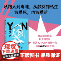 梦女 埃丝特·李著 追星的典型人格 脑洞大开 K-POP式矢量插画风 当代青年现状 小说