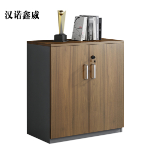 汉诺鑫威办公室矮柜储物柜文件柜2门