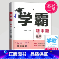 数学 七年级下 人教版 七年级/初中一年级 [正版]2024学霸题中题数学英语物理化学七年级上册八年级下册九年级上苏科版