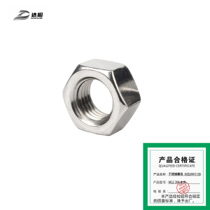 达昭 不锈钢螺母 200个 M12 304 本色