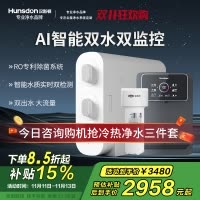 汉斯顿/Hunsdon[国家补贴]净水器家用厨下式净水机家用直饮净水器C2净水器家用无桶双水大流量过滤器净水器
