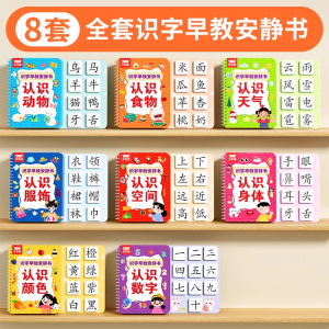 识字书幼儿认字早教安静书儿童启蒙幼儿园认字全套宝宝识字卡片