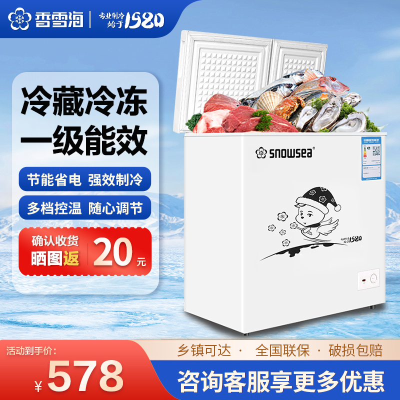 香雪海 132升 冰柜小型家用 一级能效 冰柜 冷柜家用顶开门 卧式冷柜冷冻冷藏转换 双温柜 BCD-132AE