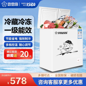 香雪海 132升 冰柜小型家用 一级能效 冰柜 冷柜家用顶开门 卧式冷柜冷冻冷藏转换 双温柜 BCD-132AE