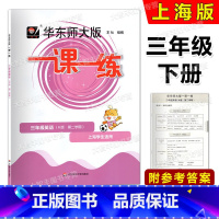 英语 三年级下 [正版]2024华东师大版一课一练 英语N版 三年级第二学期/3年级下册 华师大一课一练 上海牛津版英语