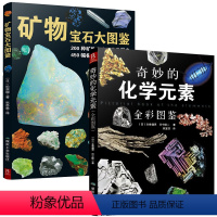 [正版]矿物宝石大图鉴+奇妙的化学元素(全彩图鉴)二本套装自然科学知识图解 化学实验图谱 矿物宝石鉴赏图典 宝石收藏图
