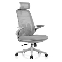 匡大办公椅高级电脑椅人体工学办公椅A2206G