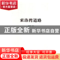 正版 索洛湾道路 张金平著 陕西人民出版社 9787224126679 书籍