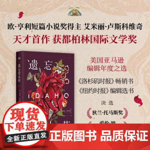 遗忘爱达荷 艾米丽•卢斯科维奇 著 小说