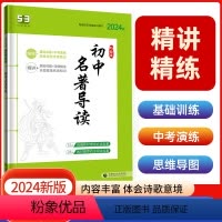 初中名著导读 [正版]2024版53阅读理解与完形填空初中通用七八九年级听力突破专项初中英语语法词汇全国版高频考纲词汇语