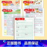 [上册]同步字帖1上+五感法字帖 [正版]一年级练字字帖小学生上册下册同步练字帖语文人教版口算天天练硬笔书法练字本楷书笔