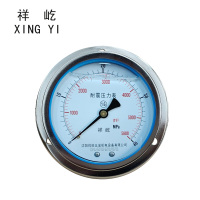 祥屹 耐震压力表轴向带边 YTN100ZT 0-40Mpa 块