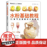 美学大师 水粉基础教程临摹书籍色彩解析单体静物入门零基础单个范本画画册起步杭州国美联考美院美术高考考试教材SH