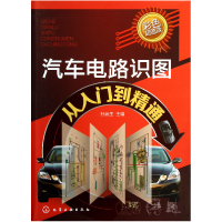 音像汽车电路识图从入门到精通(彩色版)孙运生