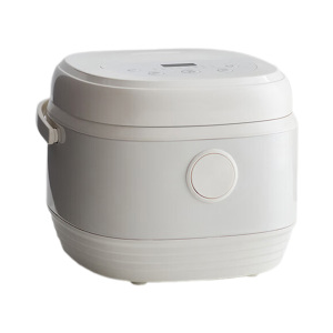 olayks.立时电饭煲5L专项加热智能控制OLK-LP-24