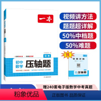 中考数学压轴题 初中通用 [正版]2024版 初中数学压轴题七八九年级数学专项训练人教版初一初二中考题型专项训练教辅资料